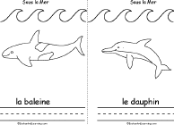 Search result: 'Sous la mer/Under the Sea Book, A Printable Book in French: Whale, Dolphin'