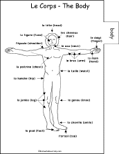 Search result: 'French Word Book #2 to Print: Body/Le Corps'