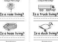 Rose/Hose, Truck/Duck