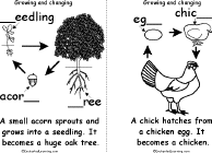 Search result: 'Growing and Changing Book, A Printable Fill-in-the-Blanks Book: Egg to Chicken, Acorn to Oak Tree'
