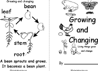 Cover, Bean to Bean Plant