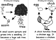 Search result: 'Growing and Changing Book, A Printable Book: Egg to Chicken, Acorn to Oak Tree'