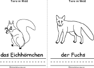 Squirrel, Fox