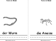 Worm, Ant
