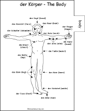 Search result: 'German Word Book #2 to Print: Body/der K&#246;rper'