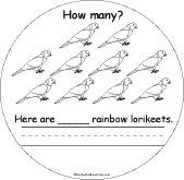 10 Rainbow Lorikeets