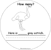 Search result: 'How Many Colorful Birds Book: Page 1 Gray Ostrich'