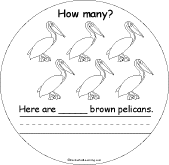 6 Brown Pelicans