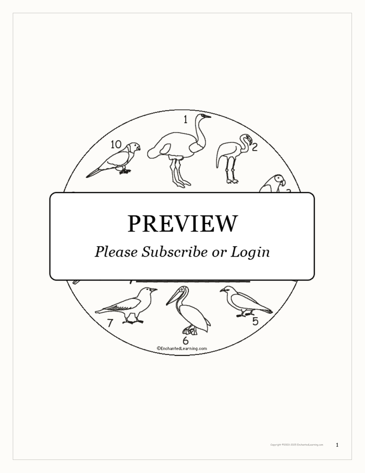 How Many Colorful Birds? Book for Early Readers interactive printout page 1