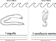 Search result: 'Sotto il Mare, A Printable Book in Italian: Eel, Sea Horse'