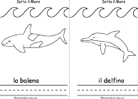 Whale, Dolphin