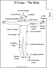Search result: 'Italian Word Book #2 to Print: Body/Il Corpo'