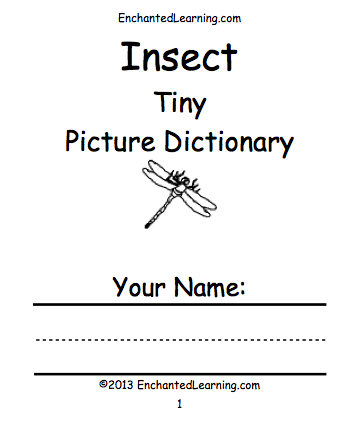 Search result: 'Insect Picture Dictionary - A Short Book to Print'