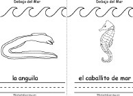 Search result: 'Debajo del Mar, A Printable Book in Spanish: Eel, Sea Horse'