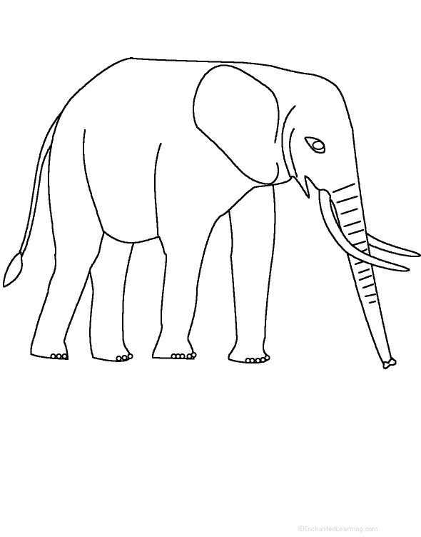 Search result: 'Elephant: Perimeter Poem - Printable Worksheet'