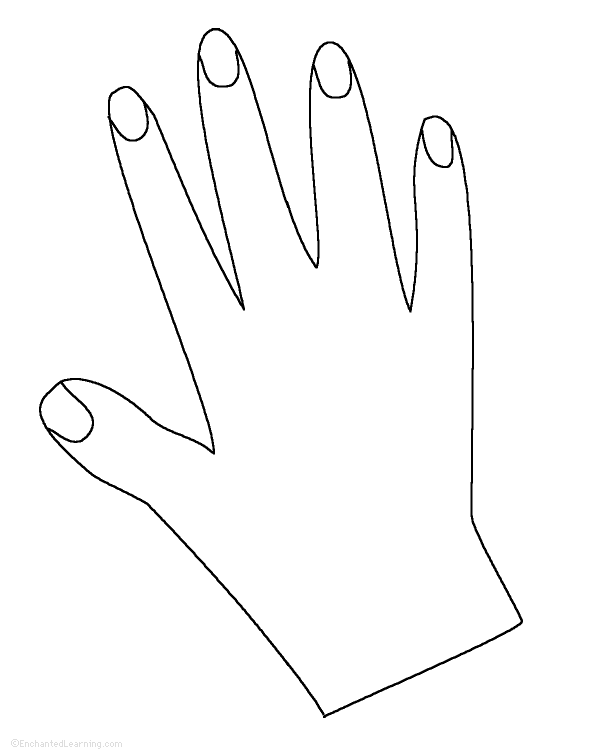 Download Hand Tracing/Cutting Template: EnchantedLearning.com