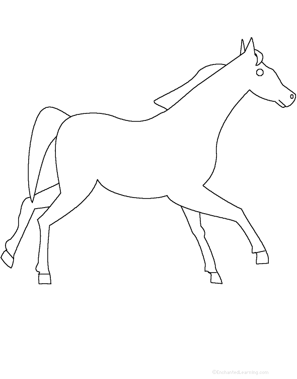 horse