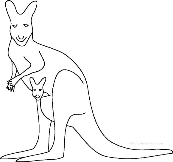 Search result: 'Kangaroo: Fact or Opinion?, A Worksheet'