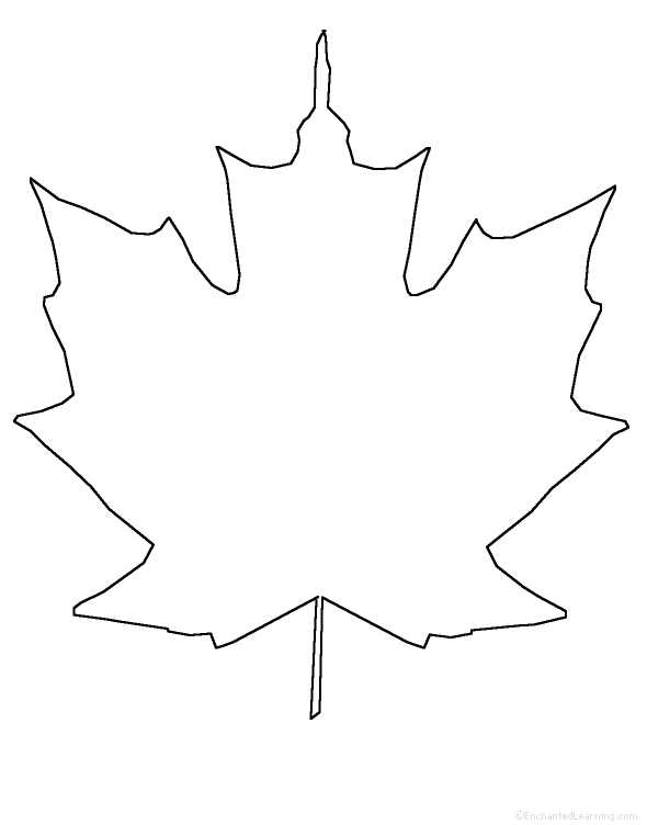 Maple Leaf Template