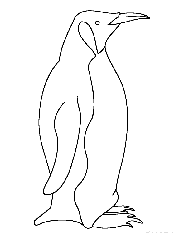 penguin