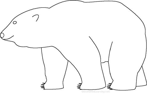 Search result: 'Polar Bear: Fact or Opinion?, A Worksheet'