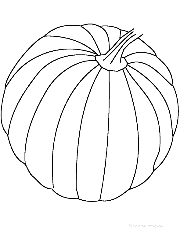 Search result: 'Pumpkin: Fact or Opinion?, A Worksheet'