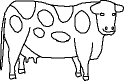 cow