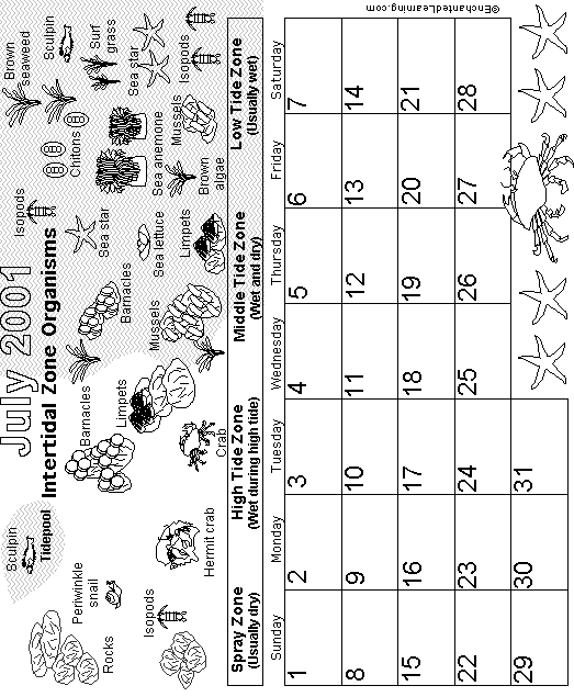 July Calendar 2001 Biomes EnchantedLearning