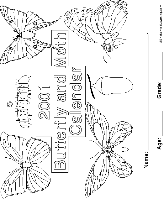 Cover 2001