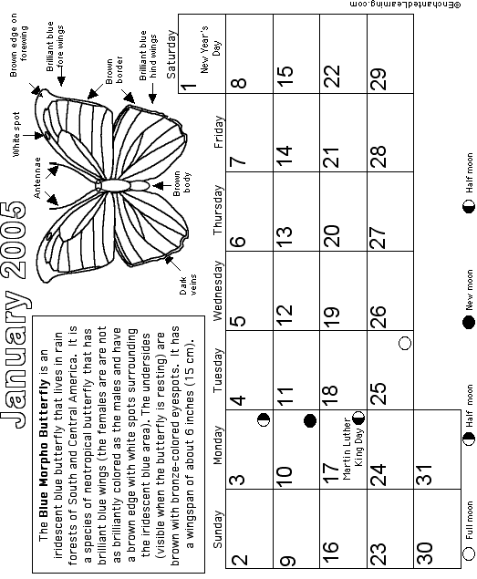 January Calendar 2005 Butterfly EnchantedLearning