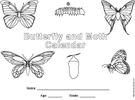butterfly calendar