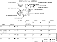 Italian 2008 sample page