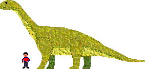 Camarasaurus