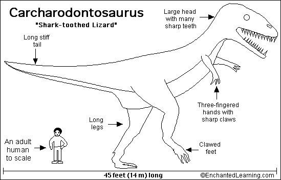 Search result: 'Carcharodontosaurus Printout'