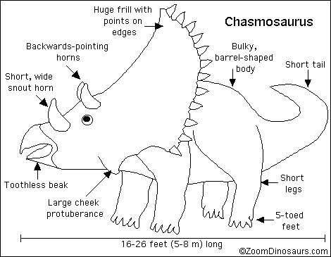 Search result: 'Chasmosaurus Printout'