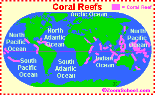 Coral Reef Map
