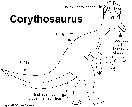 Search result: 'Corythosaurus Printout'