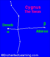 Cygnus