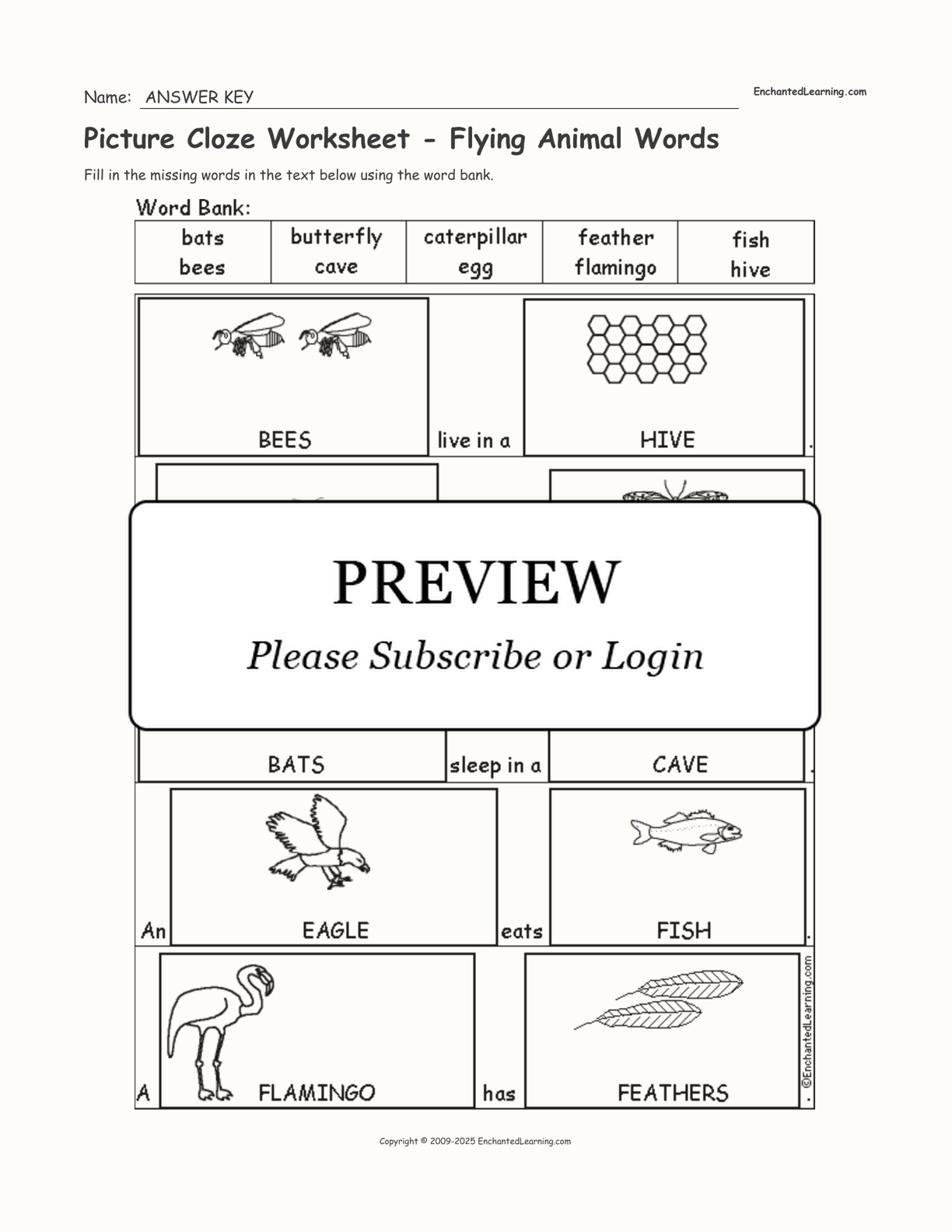 Picture Cloze Worksheet - Flying Animal Words interactive worksheet page 2