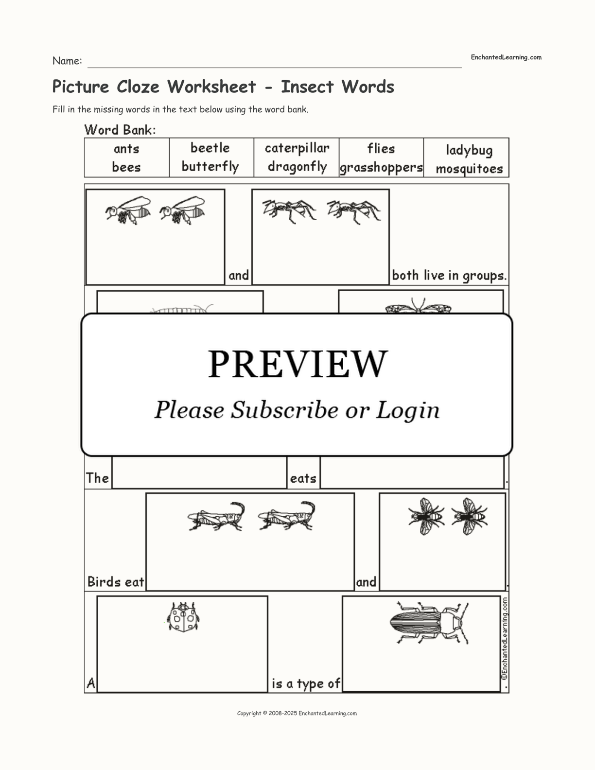 Picture Cloze Worksheet - Insect Words interactive worksheet page 1