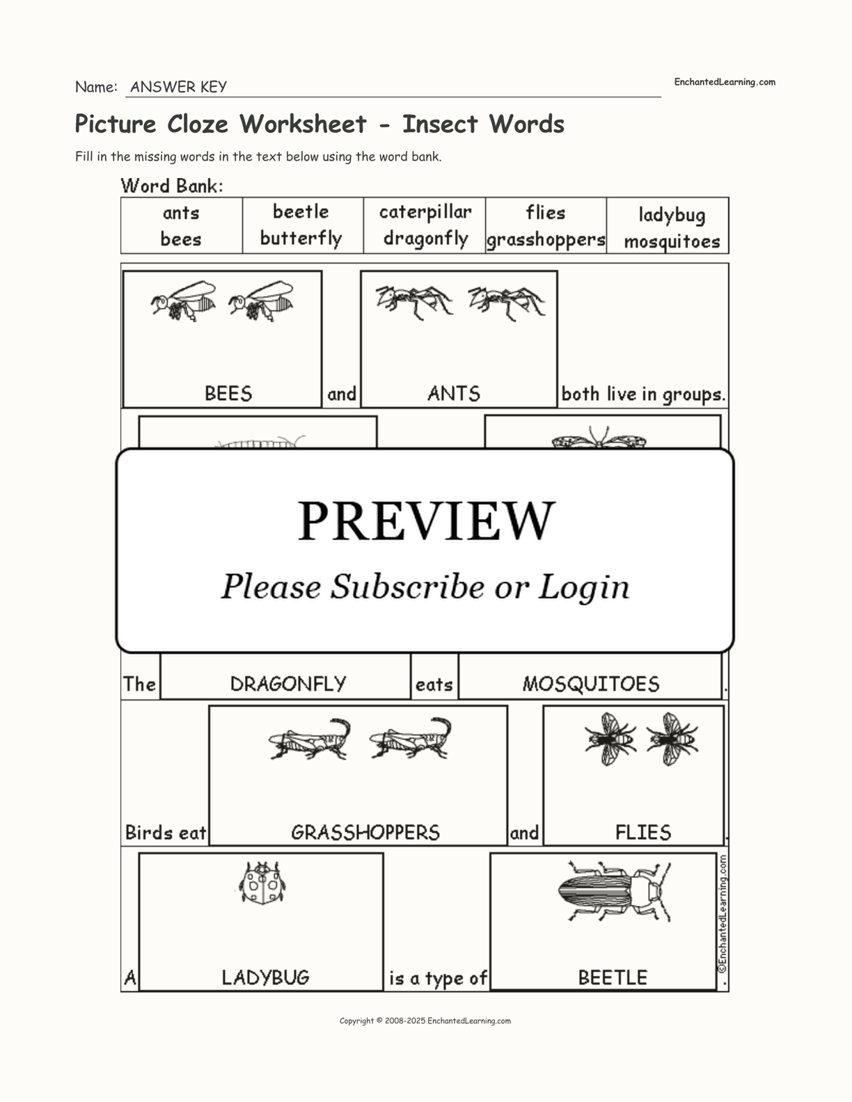 Picture Cloze Worksheet - Insect Words interactive worksheet page 2