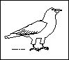 A bird template