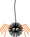 Pompom Spider