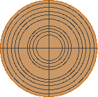 The 9 orbits on the cardboard circle.