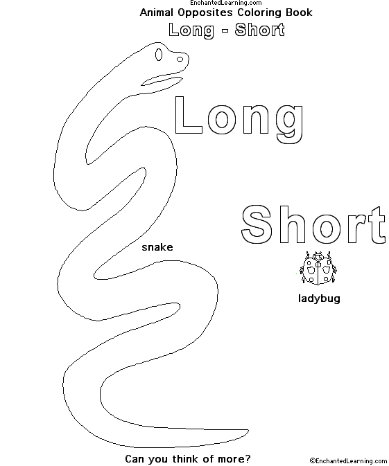 Search result: 'Animal Opposites Coloring Book: long/short'