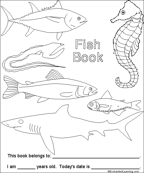Search result: 'Fish Book (Cover)'