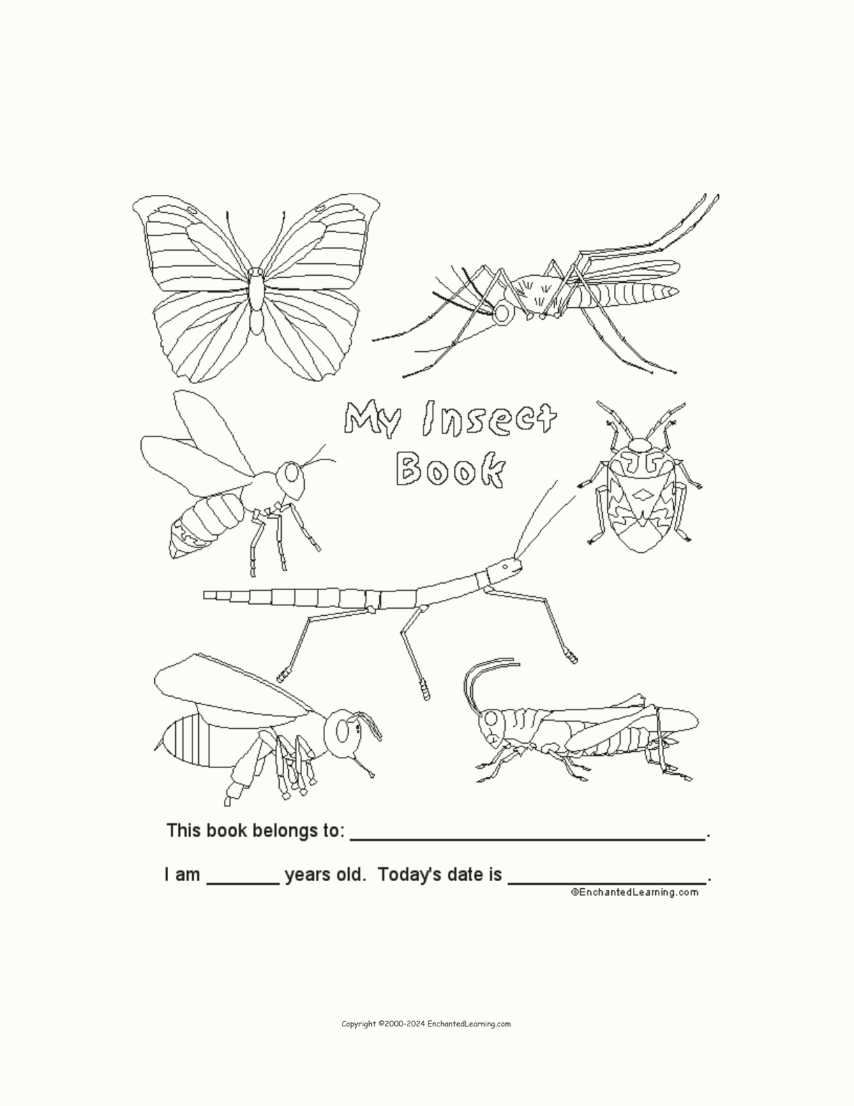 Insect Book (Cover Template) interactive printout page 1