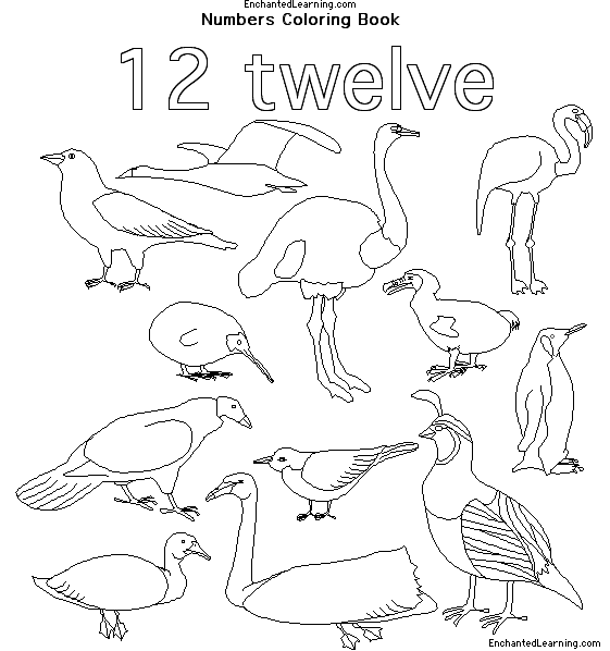 Search result: 'Numbers Coloring Book:  Eleven, Twelve'