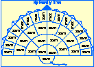 Writing your family into the template family tree.