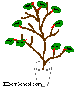 Search result: 'Family Tree Craft'